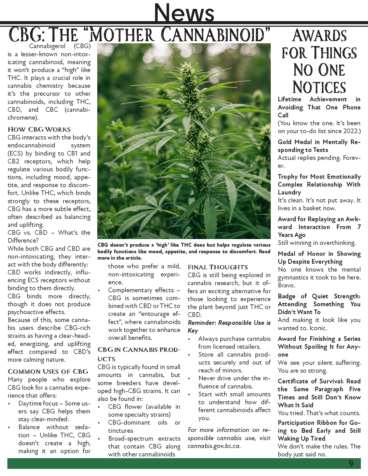 Clinton Cannabis Newsletter Page 9